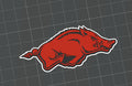 Flat Bill Cap Gift Box - Arkansas Razorbacks Logo