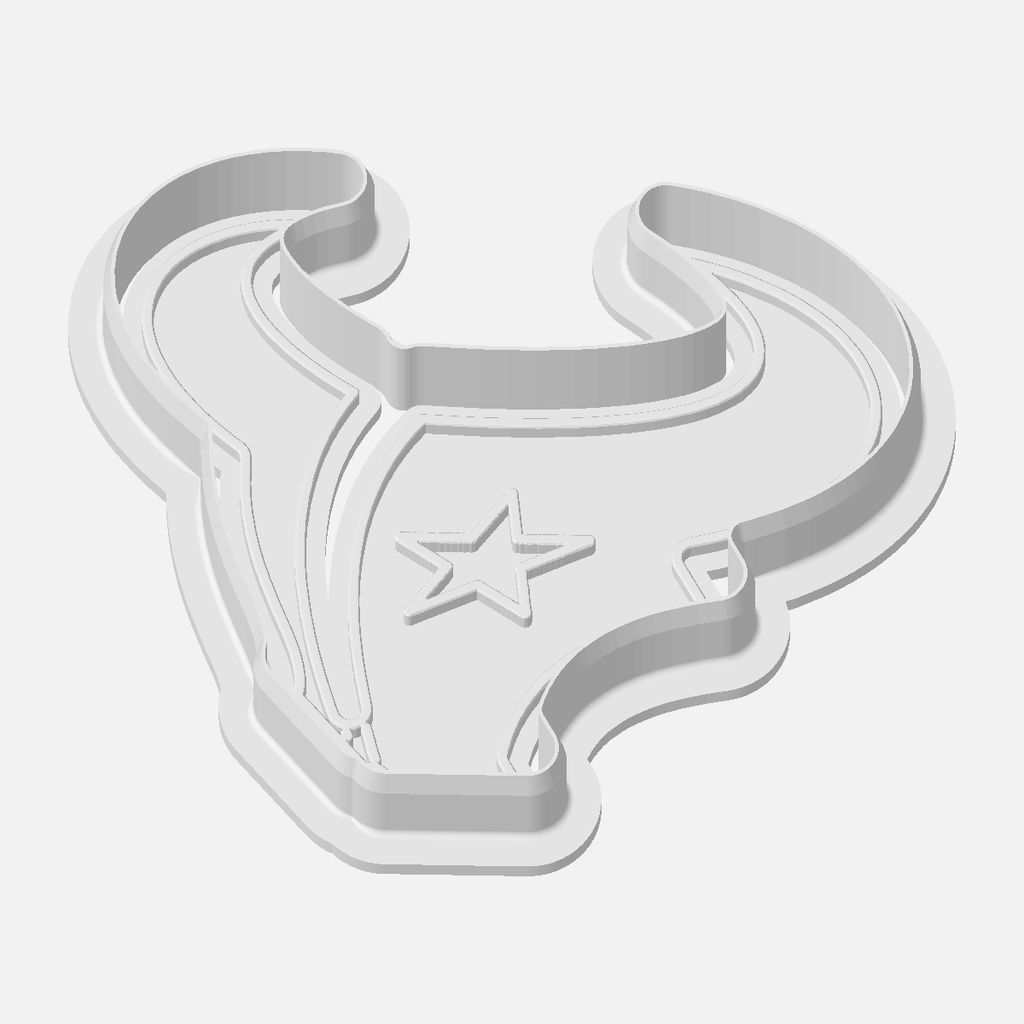 Houston Texans