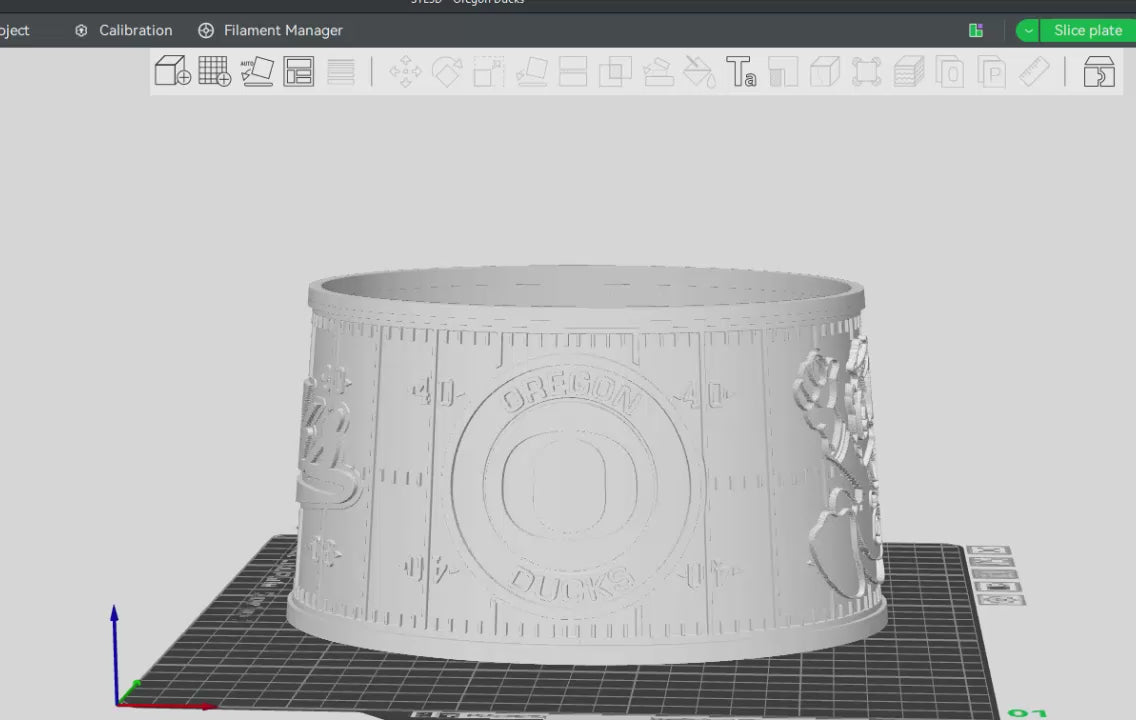 Oregon Ducks Lithophane Lampshade